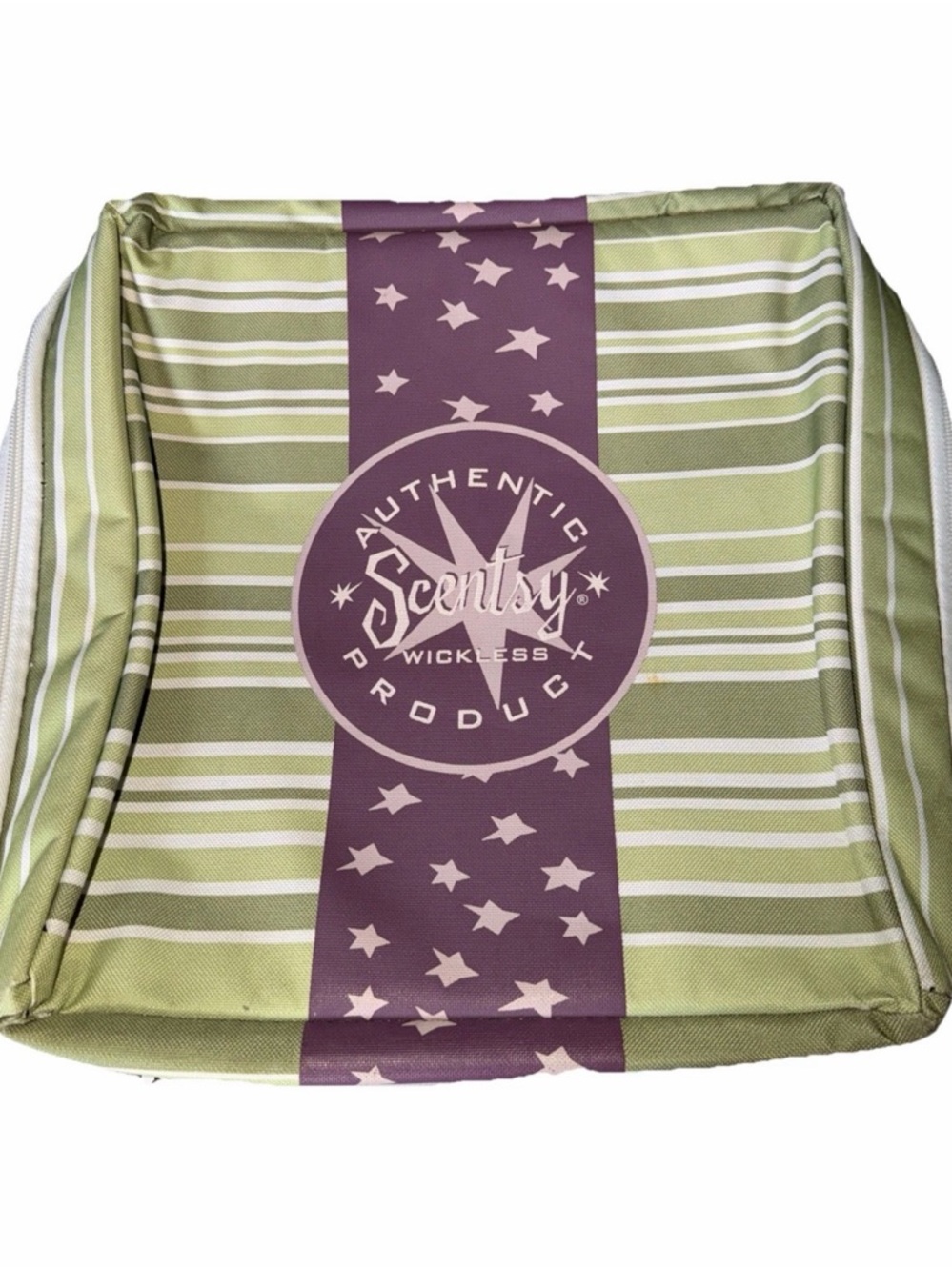 HARD TO FIND! Original Authentic Retired Scentsy Insulated Cooler Bag Tote